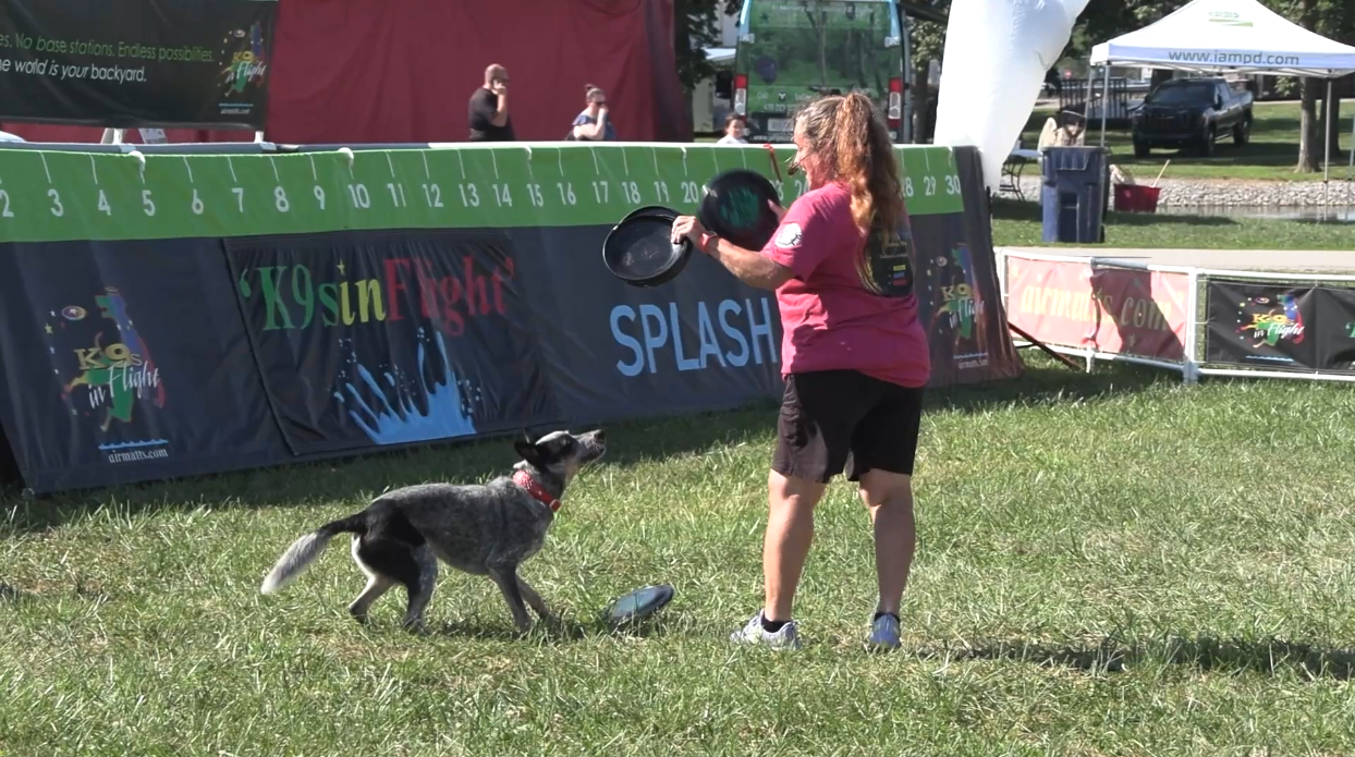 K9's in Flight dazzle audiences and give some dogs a second chance